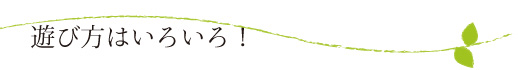 遊び方はいろいろ！